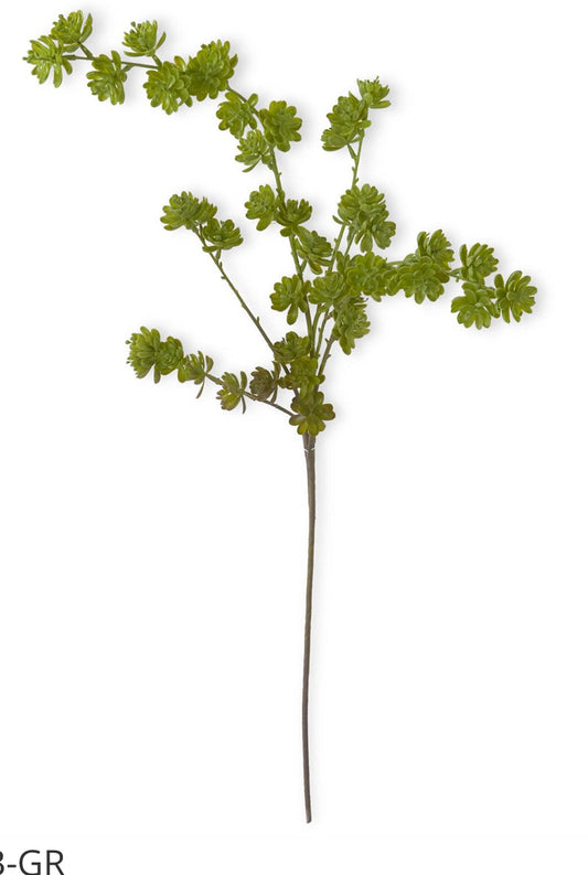 42 Inch Green Succulent Spray