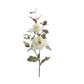 Magnolia spray