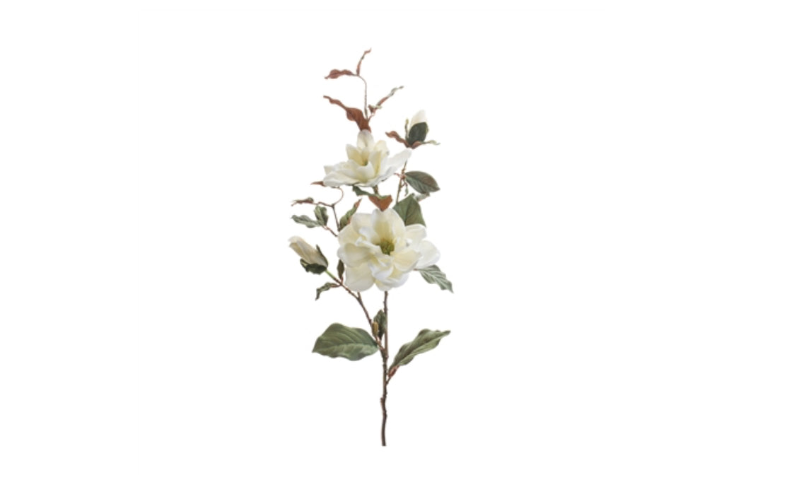 Magnolia spray
