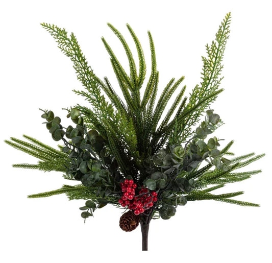 Pine/Fern Berry Bush