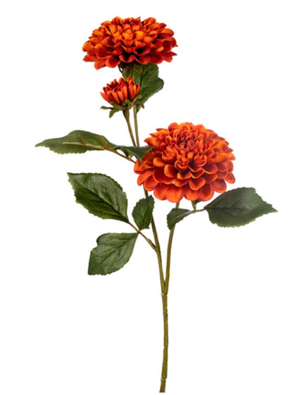29" DAHLIA
