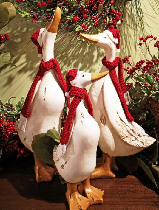 3 member duck family