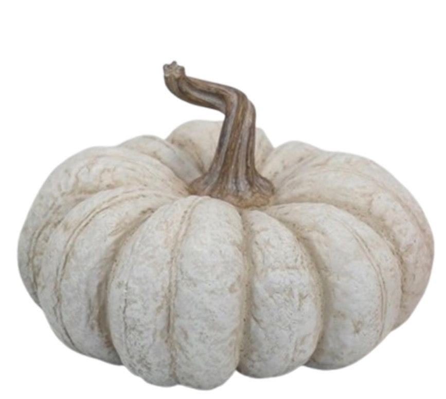 White 5" Flat Pumpkin