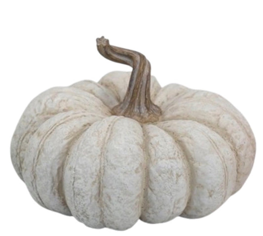White 5" Flat Pumpkin