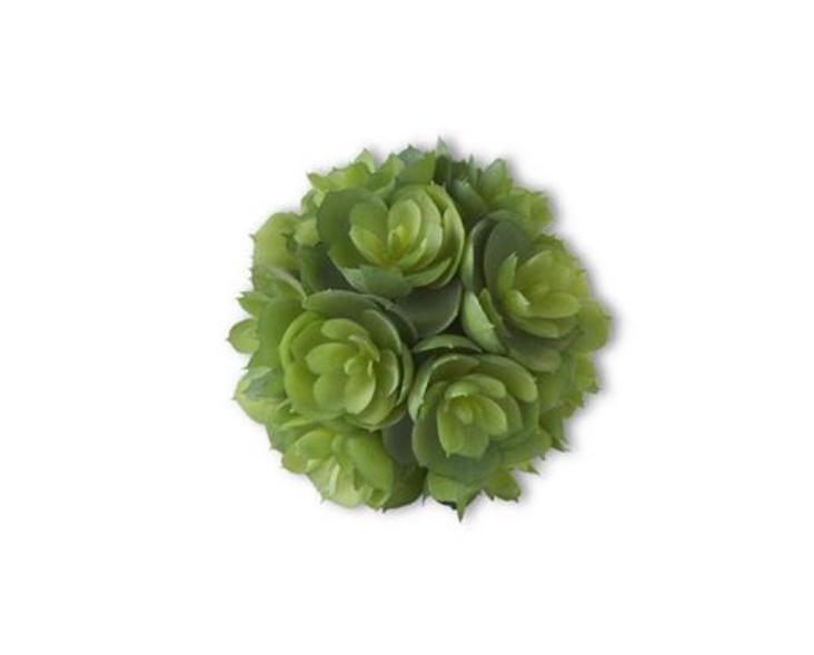 4" succulent ball