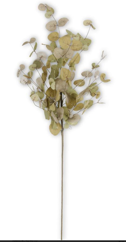 36 Inch Green Two-Tone Eucalyptus Stem