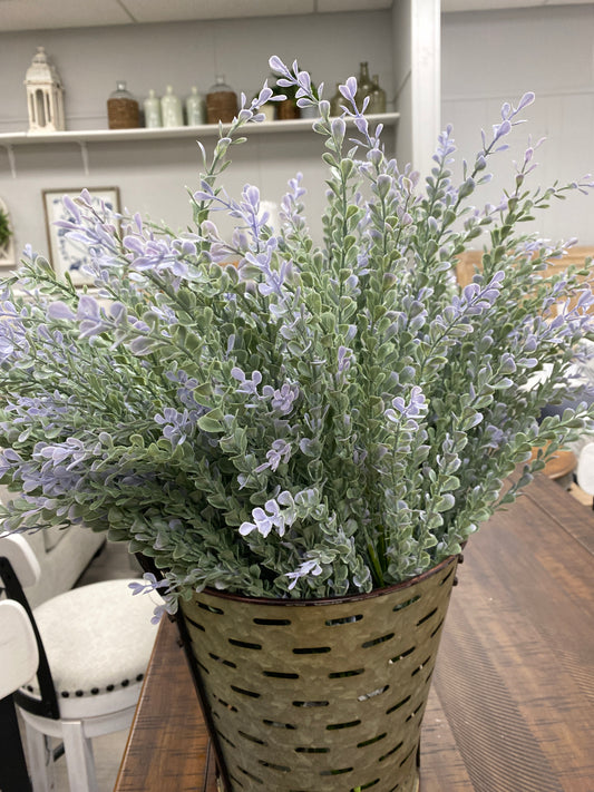 Lilac