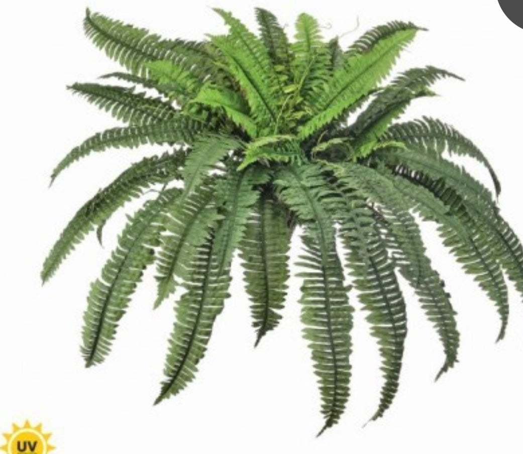 38" UV ESTATE BOSTON FERN X66 fronds