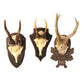 Hunt Club Trophy Wall Art
