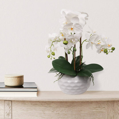 19" White Phalaenopsis Orchid Flowers In Dimple White Pot