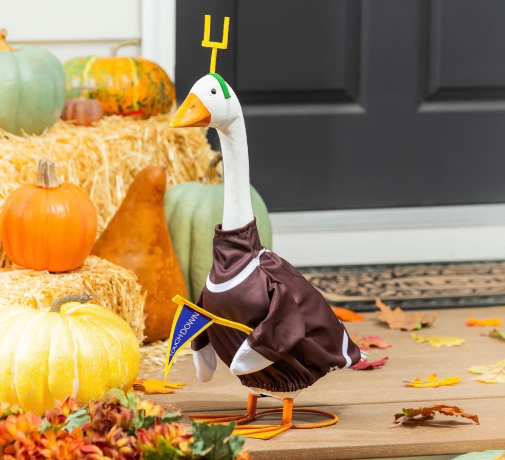 Giddy the Goose Outfit, Football Post