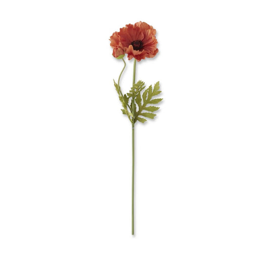 Poppy stem
