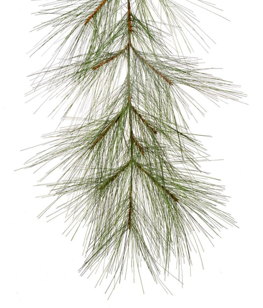 6' Long Needle Garland