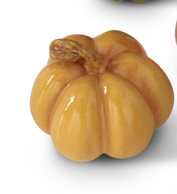 Fall Colored Mini Pumpkins