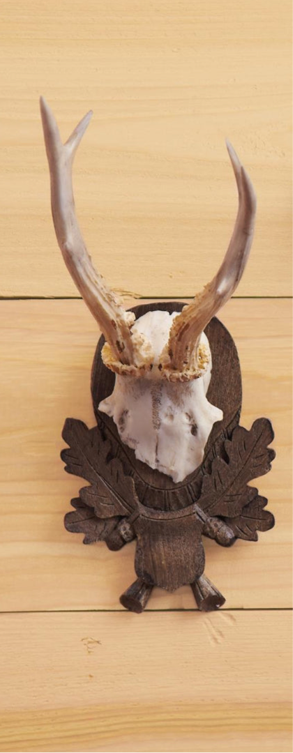 Hunt Club Trophy Wall Art