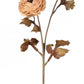 24” autumn ranunculus stem