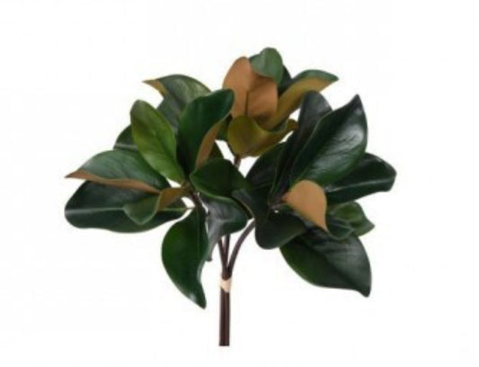 18” Charleston magnolia bundle