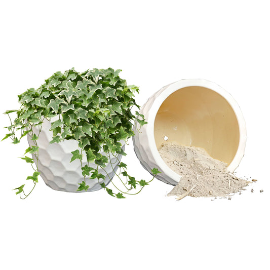 White Honeycomb Pattern Ceramic Planter - 13.5" -