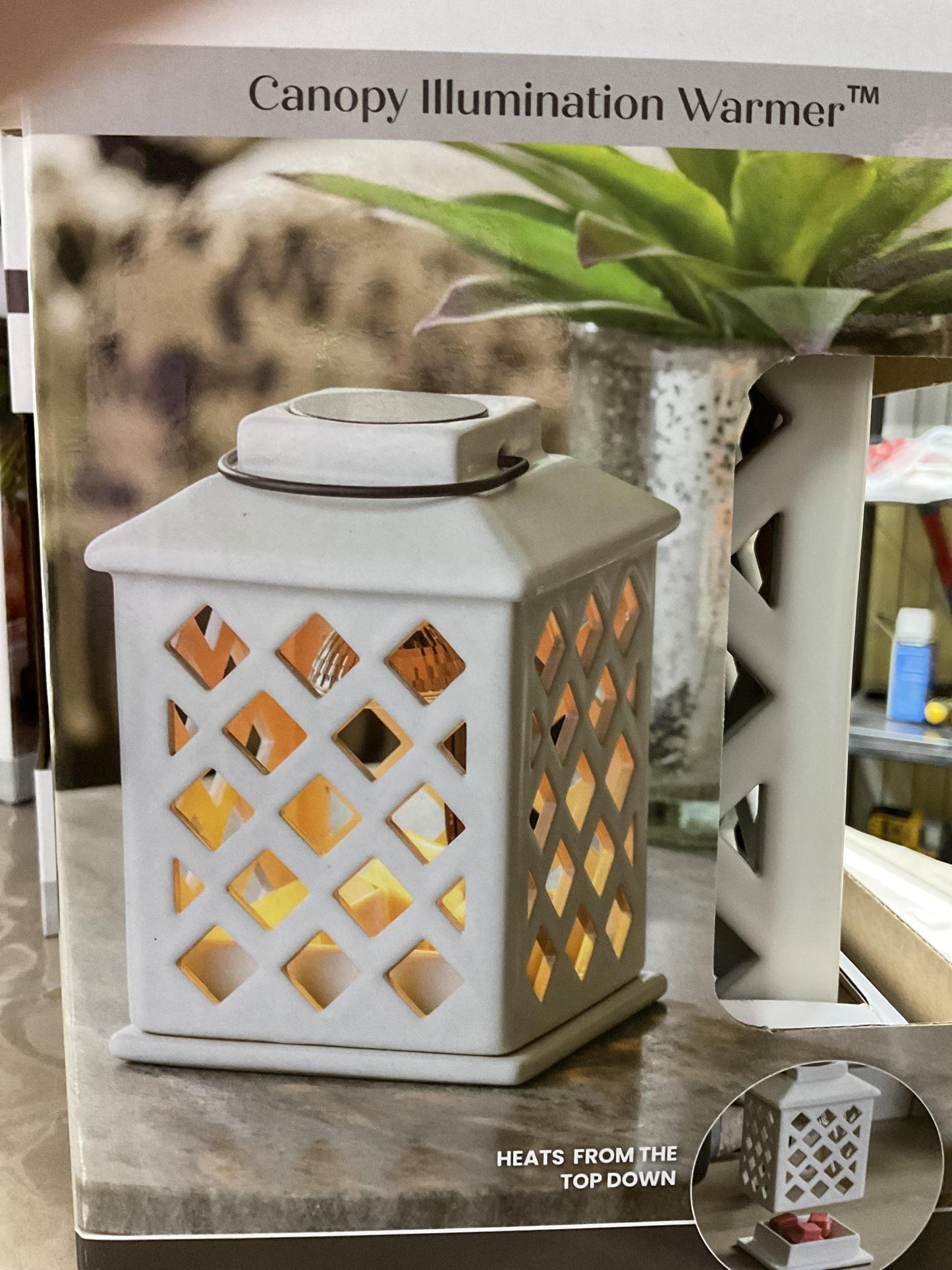 Canopy Illumination Fragrance Warmer Trellis