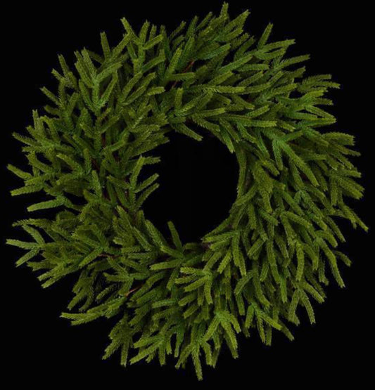 24"DIA NORFOLK ISLAND PINE WREATH WITH 120 TIPS GREEN