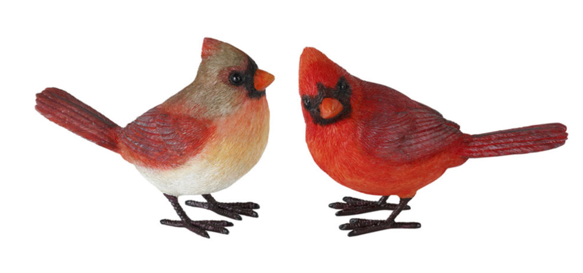 4” cardinal