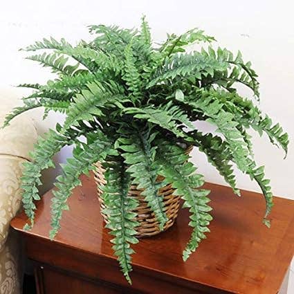 Boston Fern Artificial Plant - Uv Resistant Indoor/Outdoor
