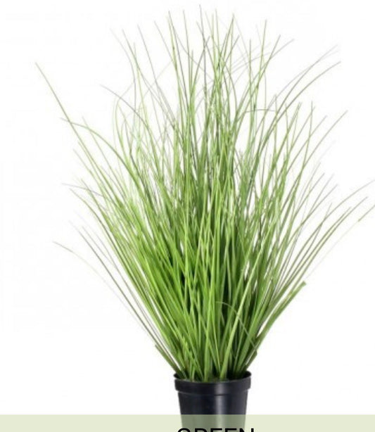 Herb Grass 15”