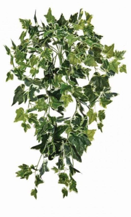 UV TREATED HANGING IVY BUSH 29"