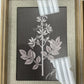 framed botanical print