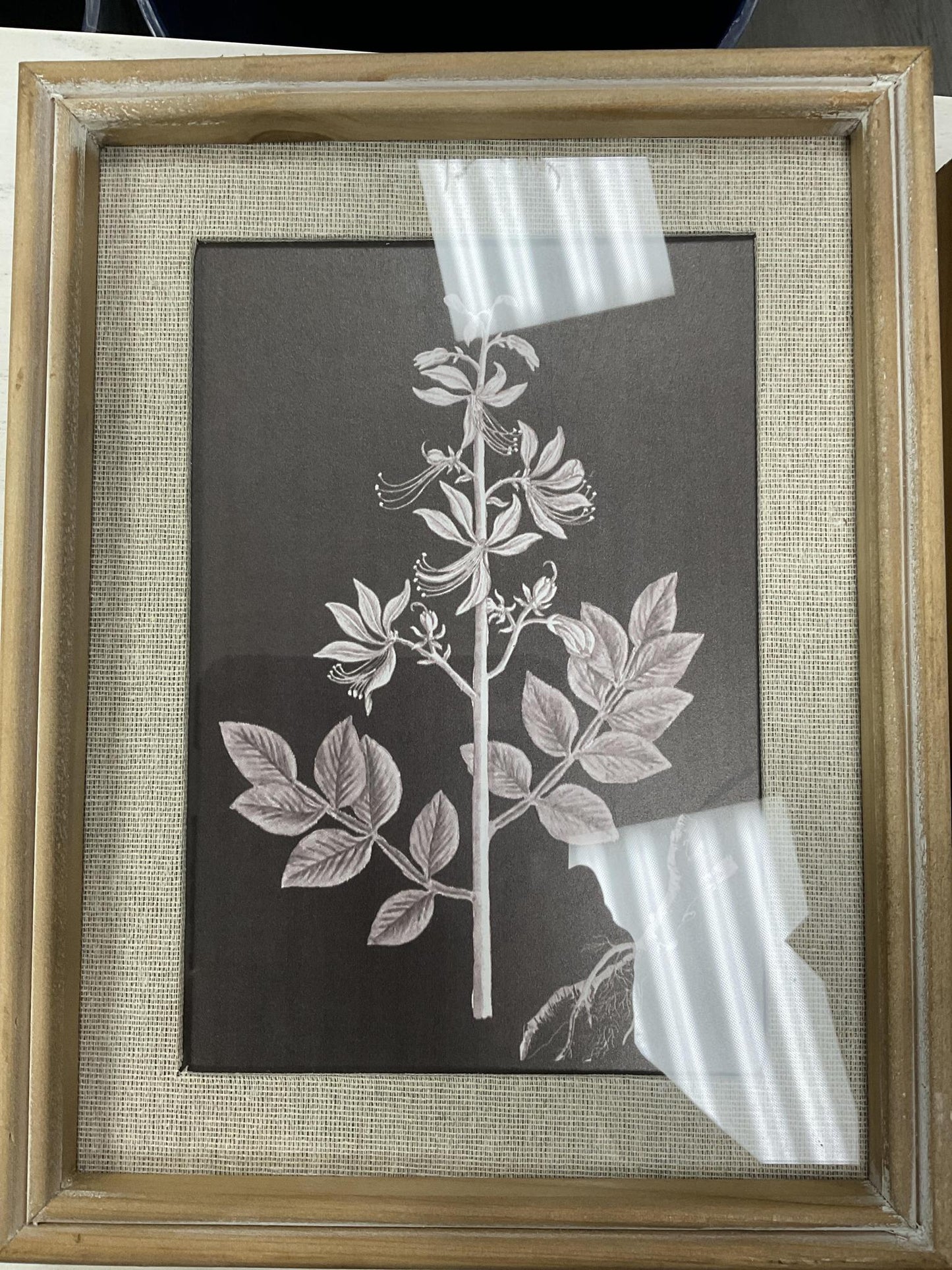 framed botanical print