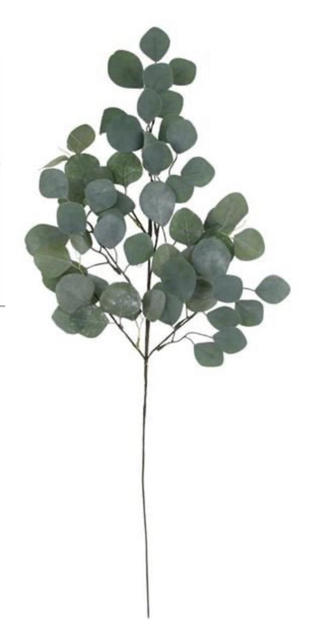 Silver dollar eucalyptus spray