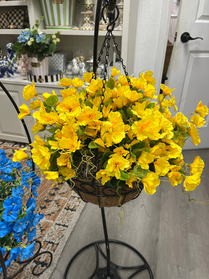 Petunia hanging basket