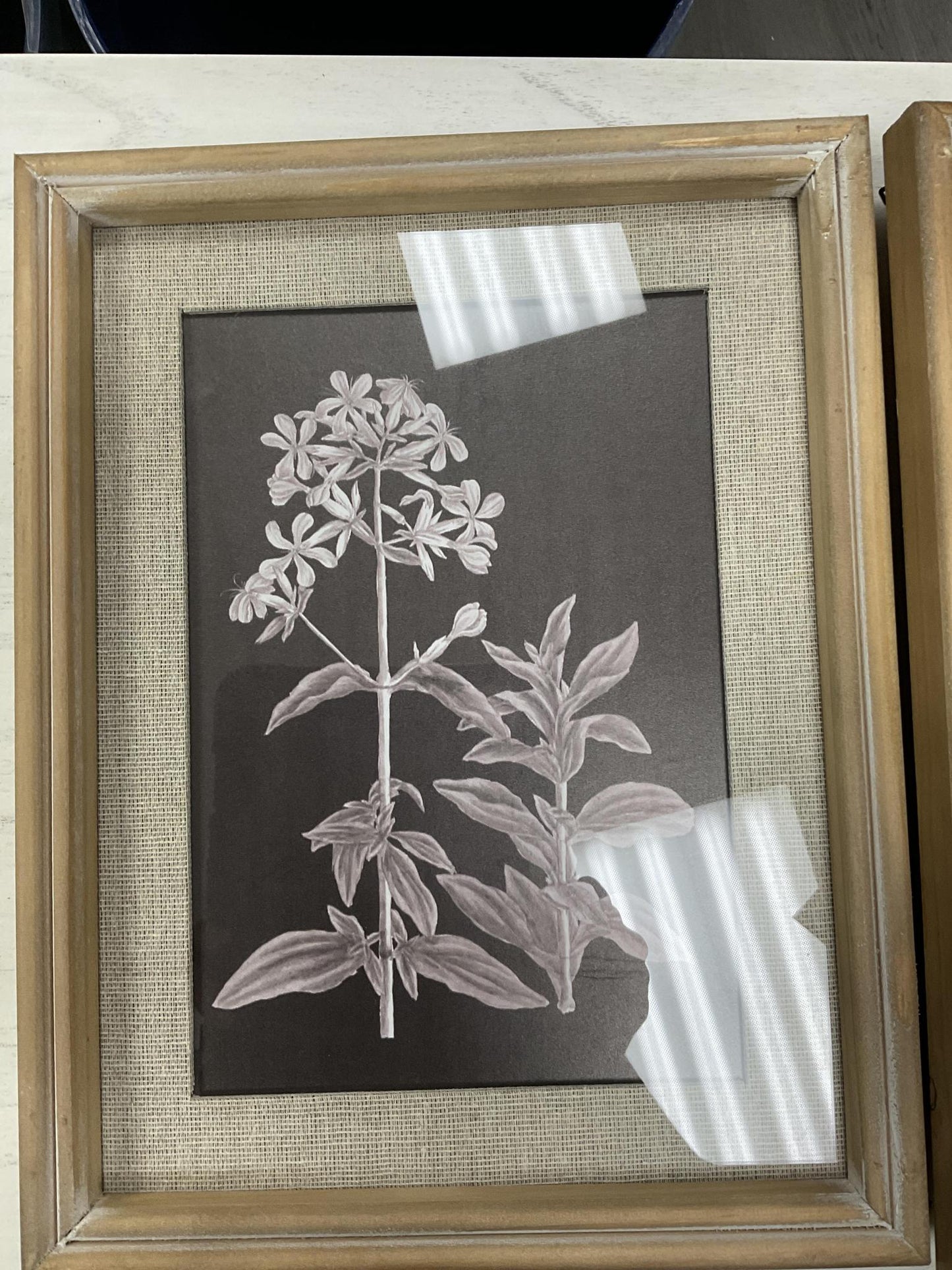 framed botanical print
