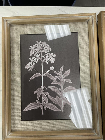 framed botanical print