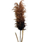 Pampas grass stems 44”