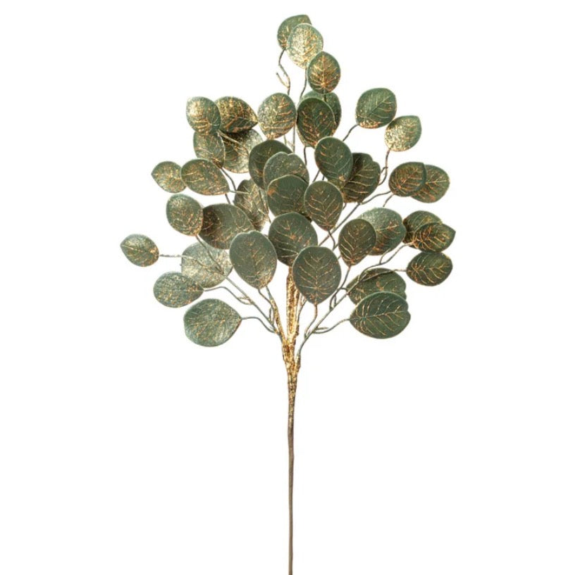 Sage Pilea Spray