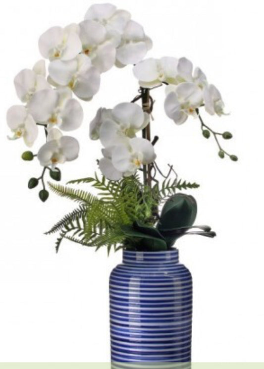 28" PTD AMALFI COAST PHALANOPSIS ORCHID