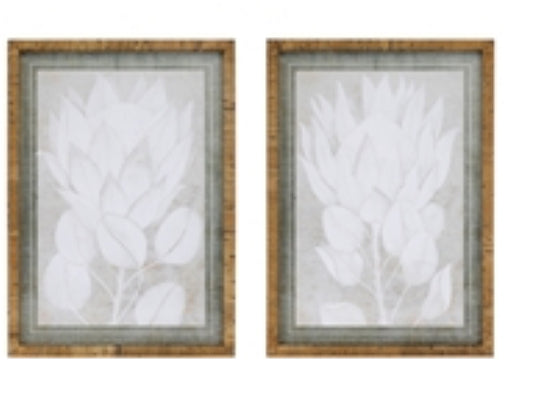 Framed protea print