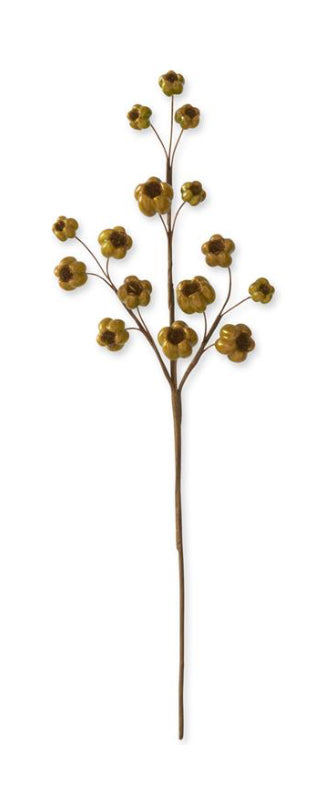 27” green fig stem