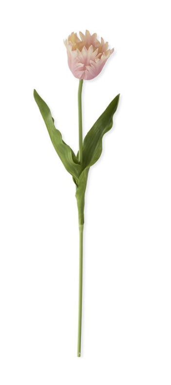 23 Inch Pink & Cream Real Touch Parrot Tulip