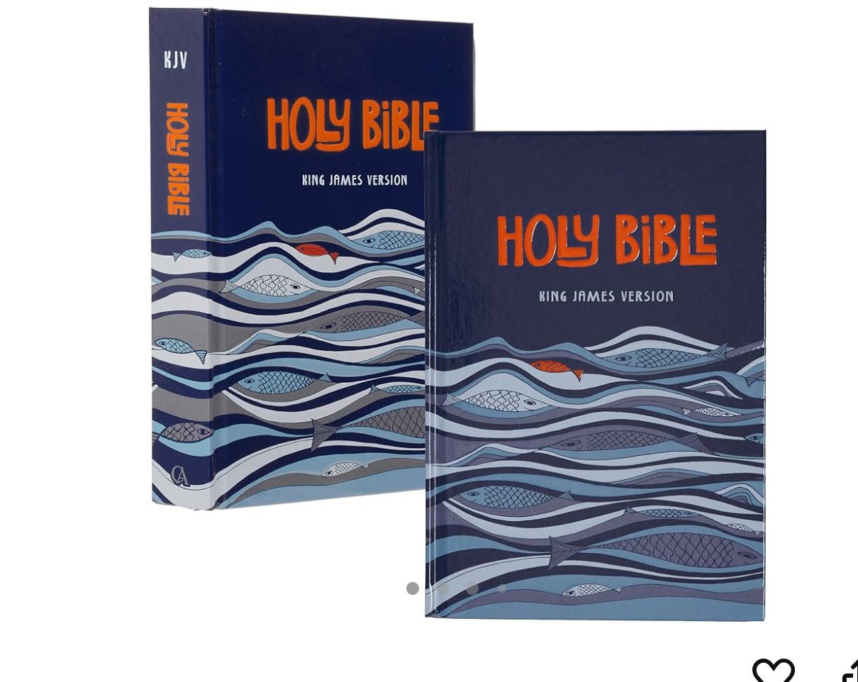 Holy Bible KJV kids edition