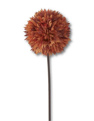 26” orange allium stem