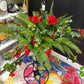 Mother’s Day special
