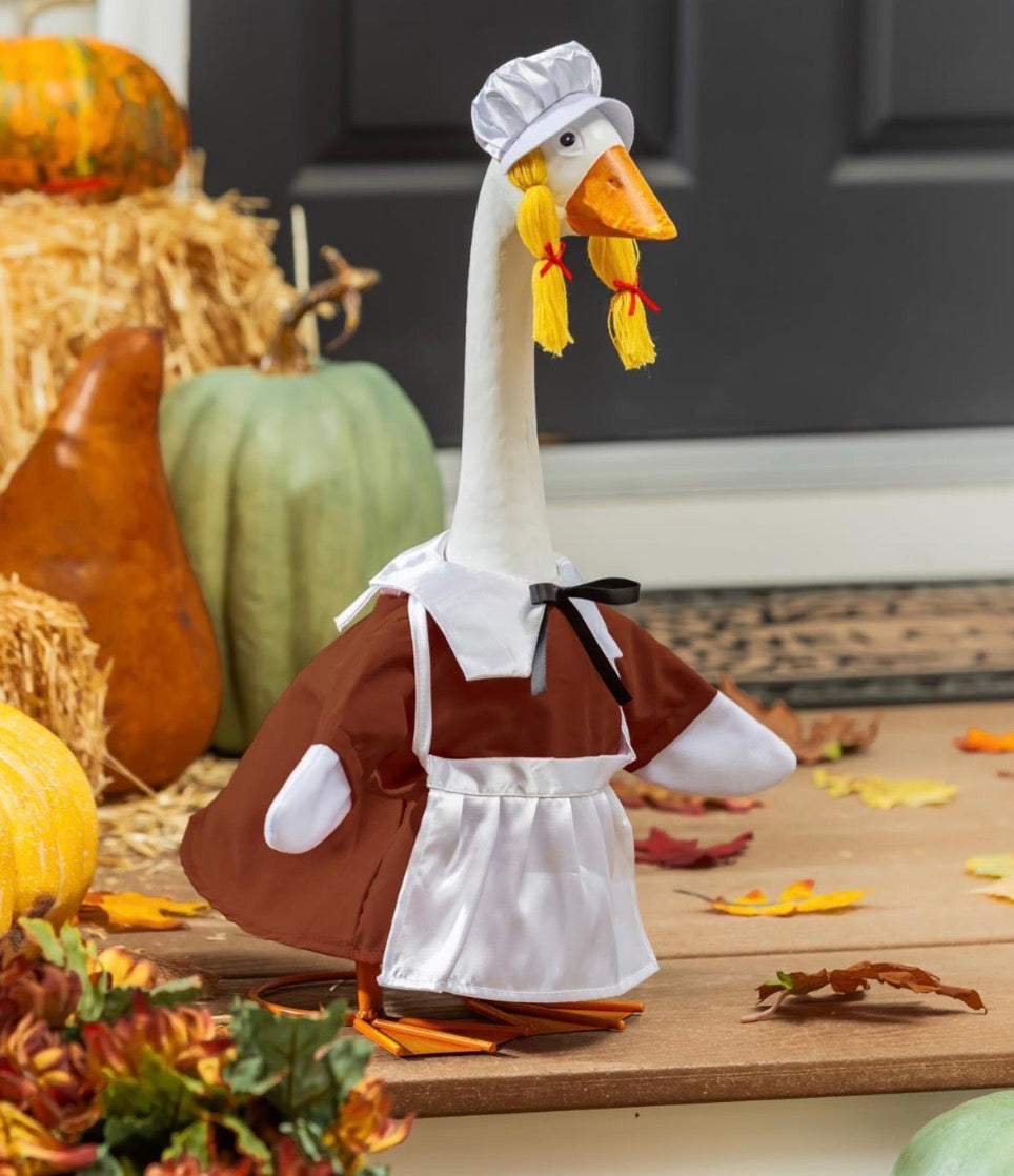 Giddy the Goose Outfit, Harvest Pilgrim