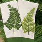 Assorted 28” embroidered fern guest towels