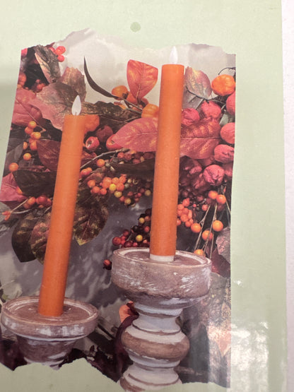 Fall taper candles set of 2