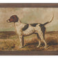 23.5 Inch Dog Prints