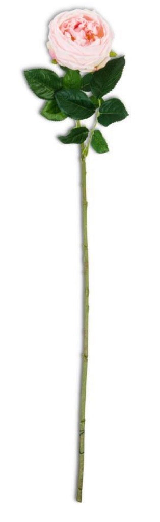 24” real touch Austin rose stem