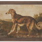 23.5 Inch Dog Prints