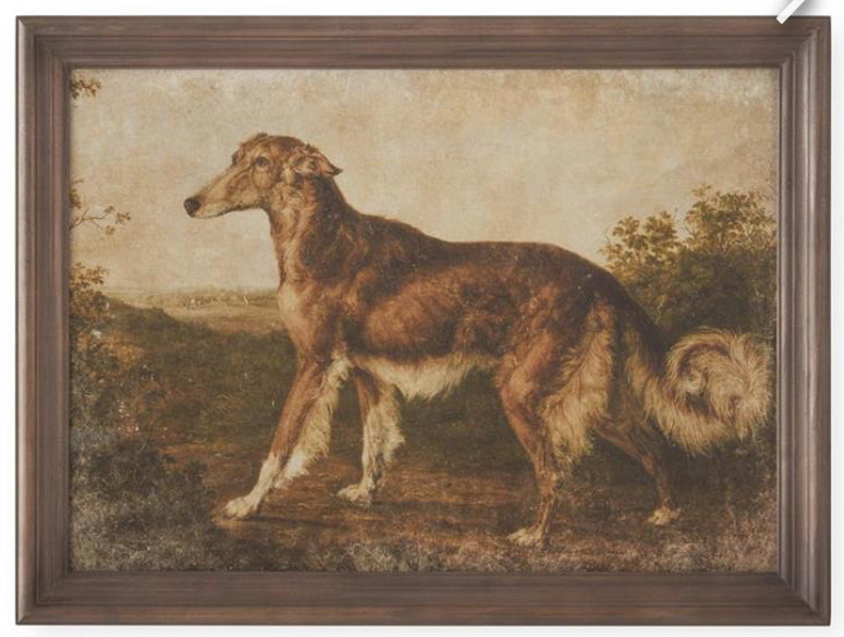 23.5 Inch Dog Prints